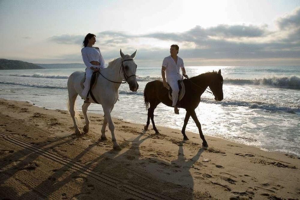 Hotel Orhidea Albena Luaran gambar